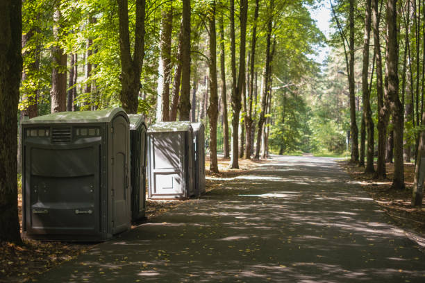 Best Local porta potty services  in Spring Arbor, MI